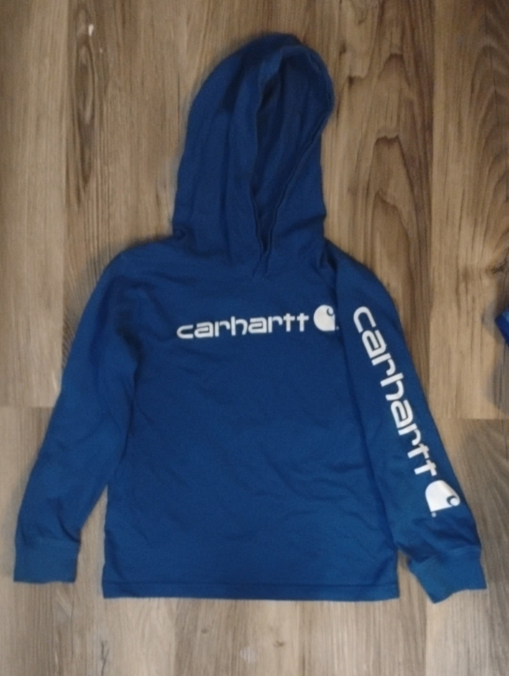 Carhartt Kids Blue Logo Pullover Hoodie